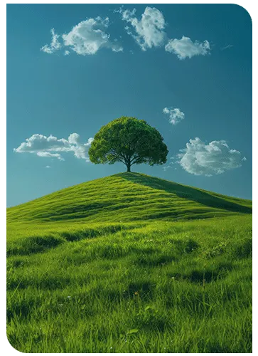 Barnitech Consulting